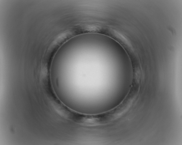 X0000115500407200911061331