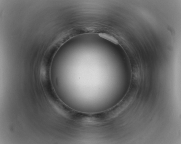 X0000115500408200911061331