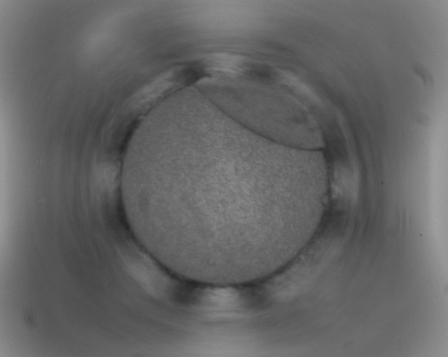 X0000115500409200911061331