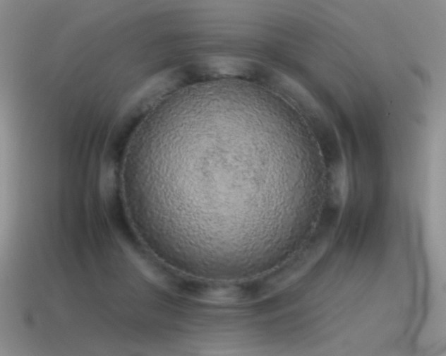 X0000115500410200911061331