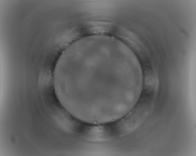 X0000115500411200911061331