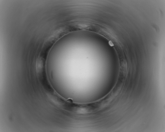 X0000115500412200911061331