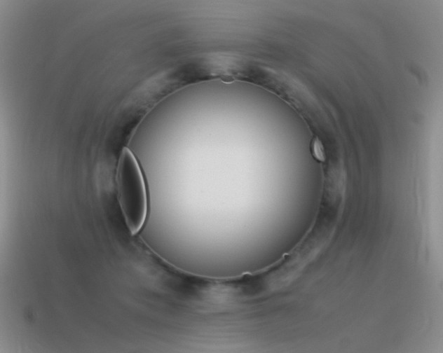 X0000115500413200911061331