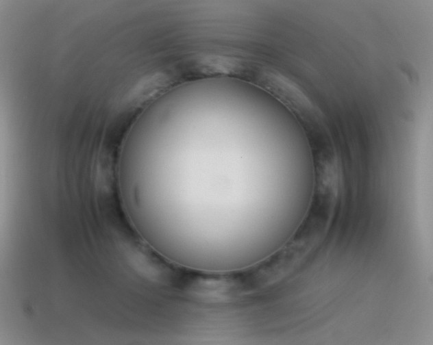 X0000115500414200911061331