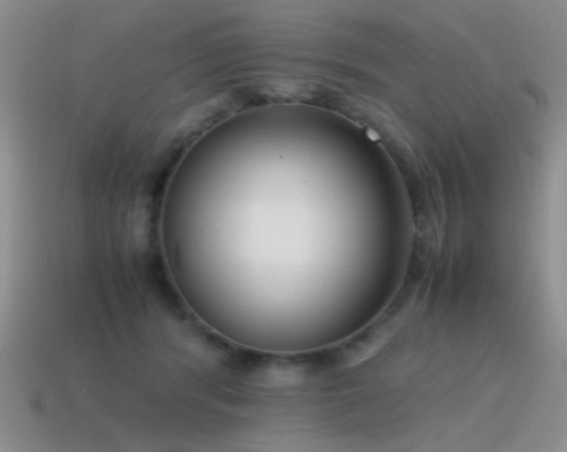 X0000115500416200911061331