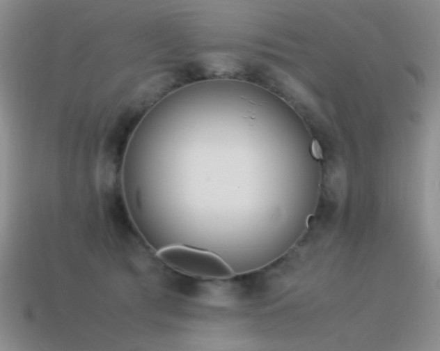 X0000115500417200911061331