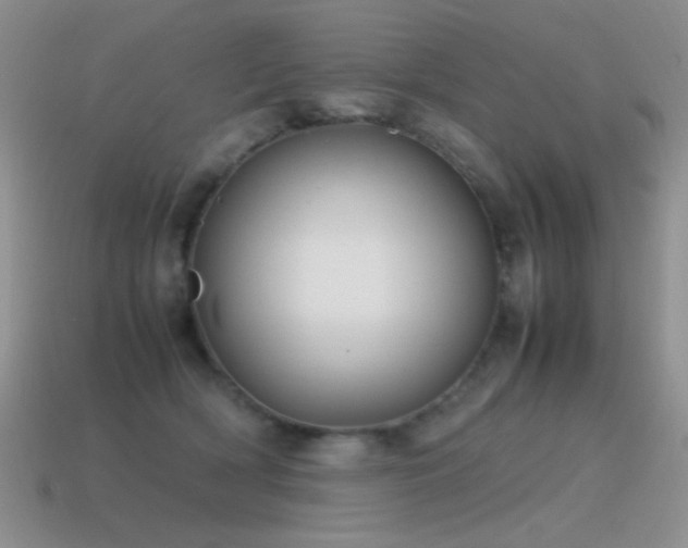 X0000115500418200911061331