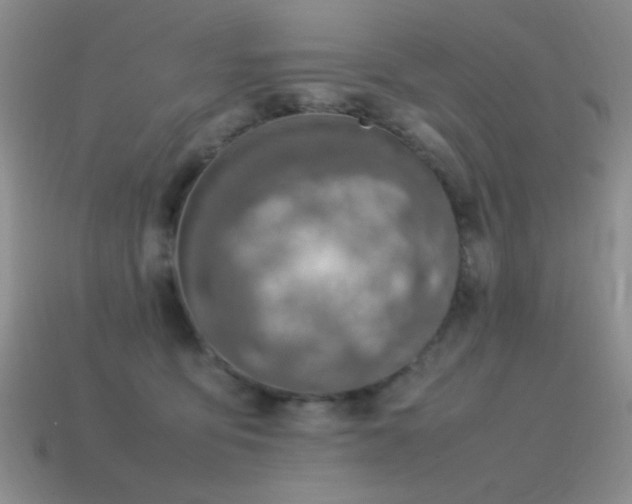 X0000115500419200911061331