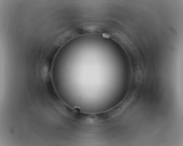 X0000115500420200911061331