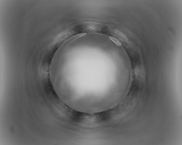 X0000115500423200911061331