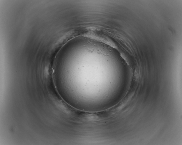 X0000115500424200911061331