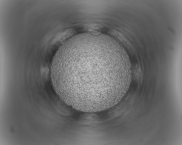 X0000115500427200911061331