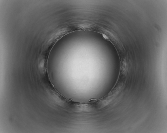 X0000115500428200911061331