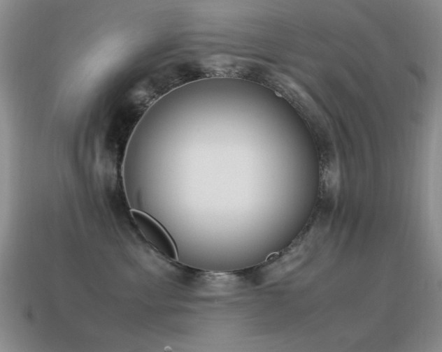 X0000115500429200911061331