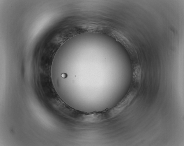 X0000115500430200911061331