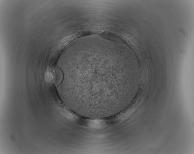 X0000115500432200911061331