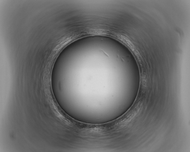 X0000115500433200911061330