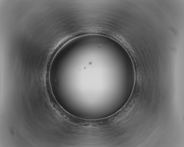 X0000115500434200911061330