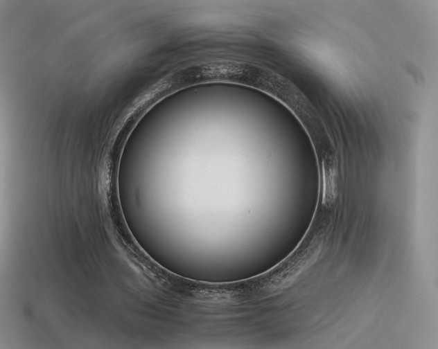 X0000115500435200911061330