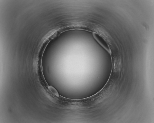 X0000115500436200911061330