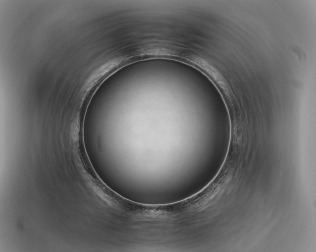 X0000115500437200911061330