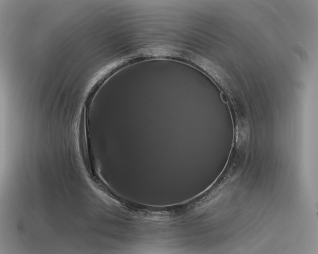 X0000115500438200911061330