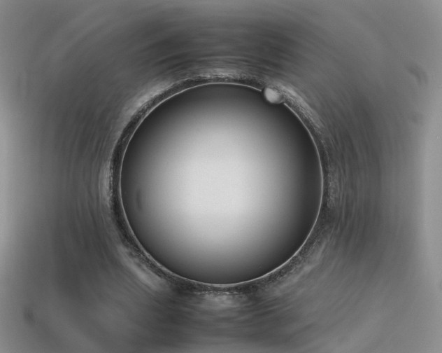 X0000115500439200911061330