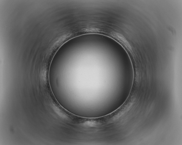 X0000115500441200911061330