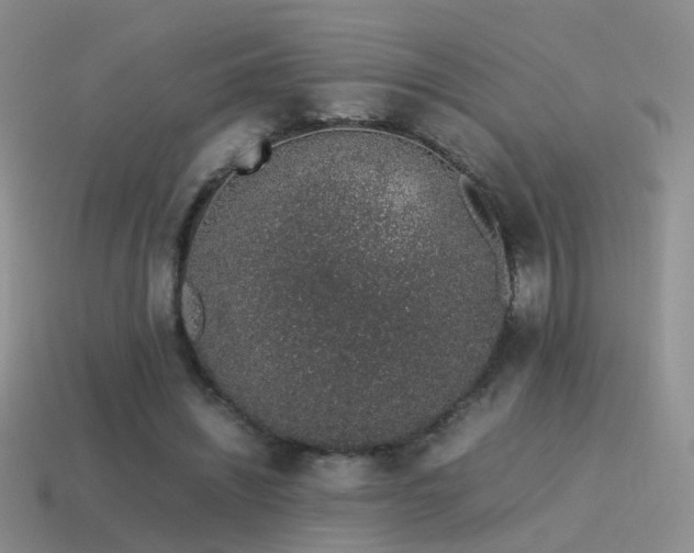 X0000115500444200911061331