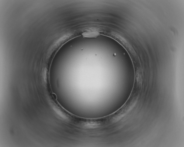 X0000115500445200911061331
