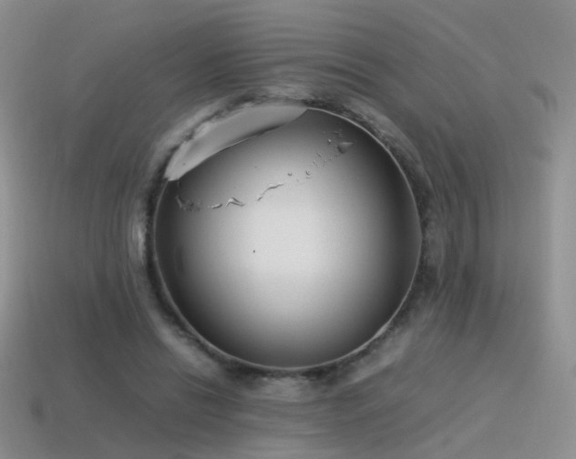X0000115500446200911061331