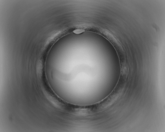 X0000115500448200911061331