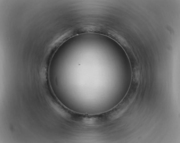 X0000115500450200911061331