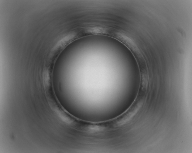 X0000115500453200911061331