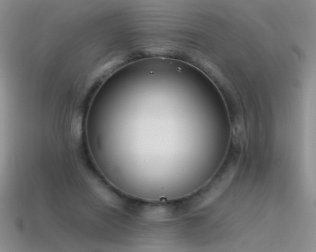 X0000115500454200911061331