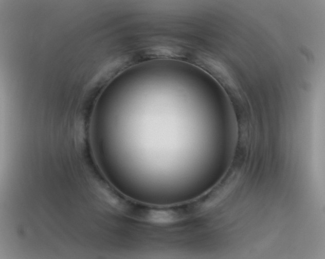 X0000115500457200911061331