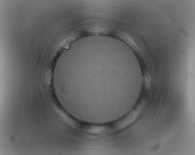 X0000115500458200911061331