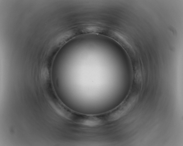 X0000115500459200911061331