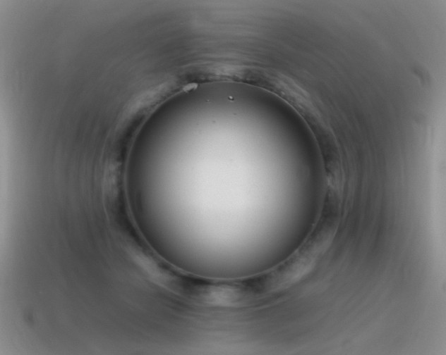 X0000115500462200911061331