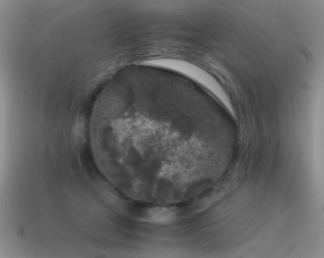 X0000115500465200911061331