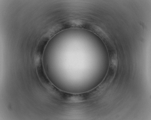 X0000115500468200911061331
