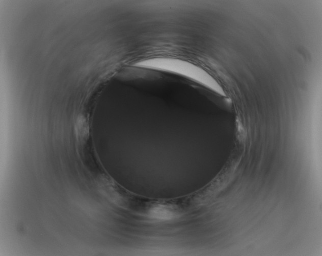 X0000115500471200911061331
