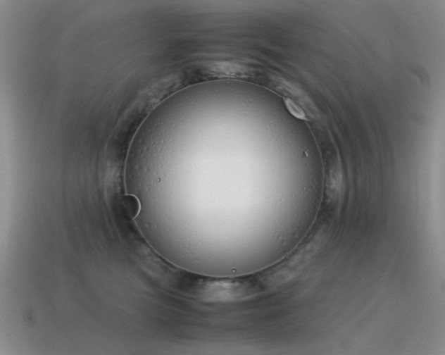 X0000115500473200911061331