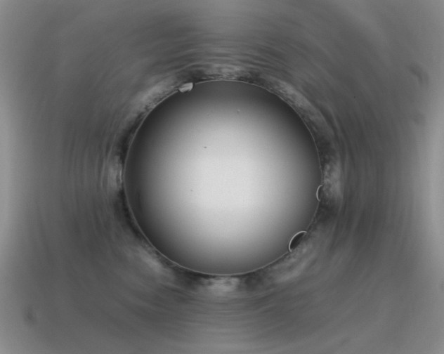 X0000115500474200911061331