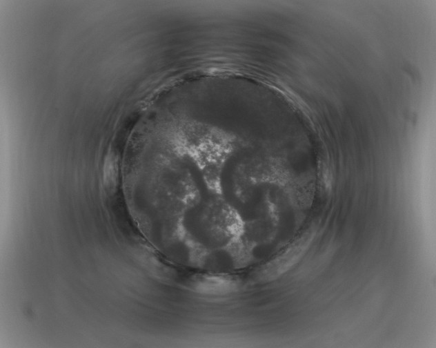 X0000115500475200911061331