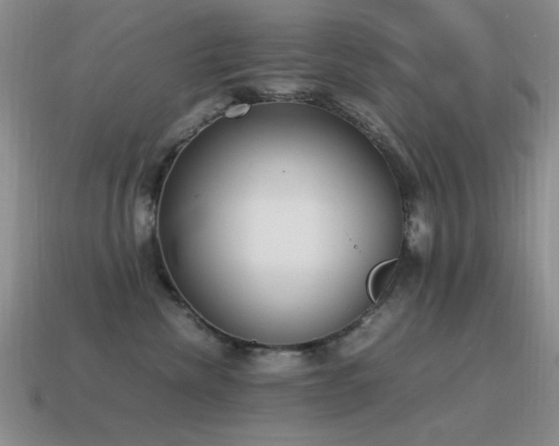 X0000115500476200911061331