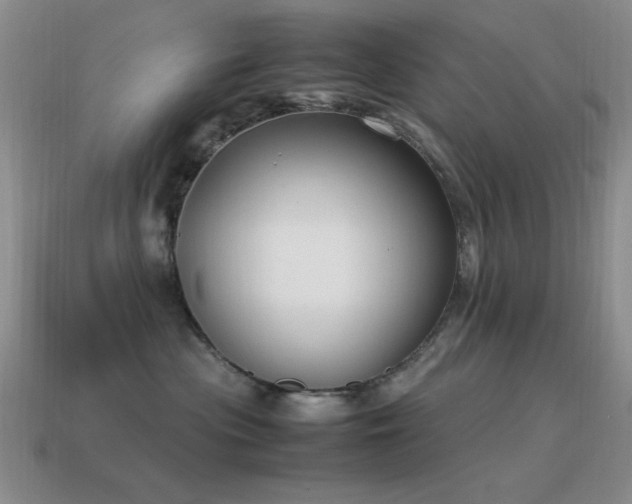 X0000115500477200911061331