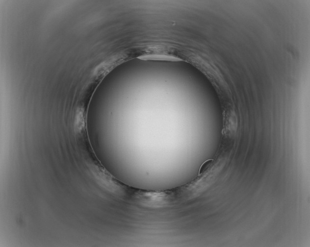 X0000115500478200911061331