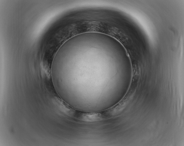 X0000115500479200911061331