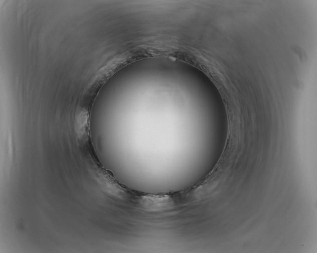 X0000115500480200911061331
